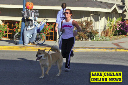 Chase2006-23