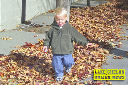 Chase2006-35