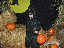 Halloween2007-47