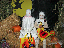 Halloween2007-66