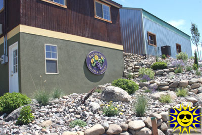Hard Row to Hoe Vineyards (formerly Balsamroot ): 

