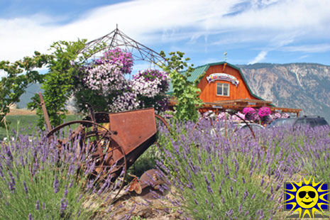 Blueberry Hills Farms