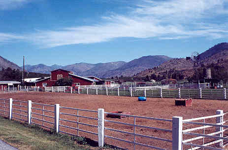 Banjo Creek Farms